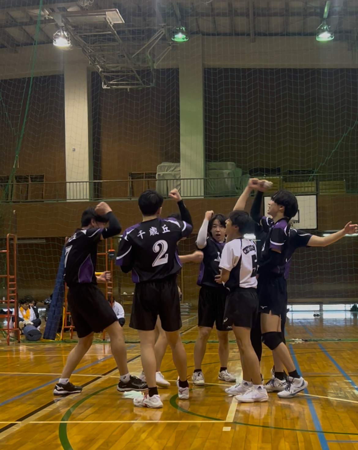Image (4)